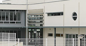 C-Escolar_Alcanede 2