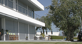 Perofilho_2_Santarem 5