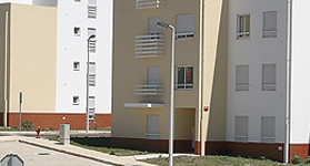 Polima_SDomingos_Rana 3