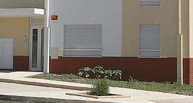 Polima_SDomingos_Rana 4