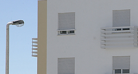 Polima_SDomingos_Rana 5